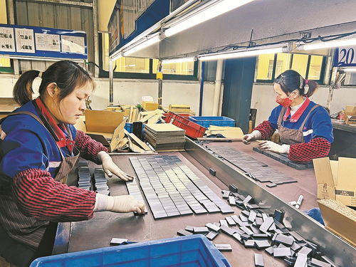 以高質量技術服務為引擎，驅動企業創新與開發能力躍升